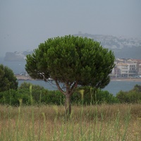 Photo de Espagne - Sant Martí d'Empúries